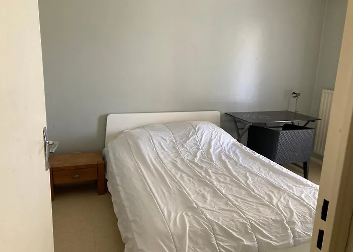 Chambre Chez L\'Habitant A Lyon Centre